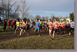 Begles 15.12.13 01 1010 * 679 x 453 * (164KB)